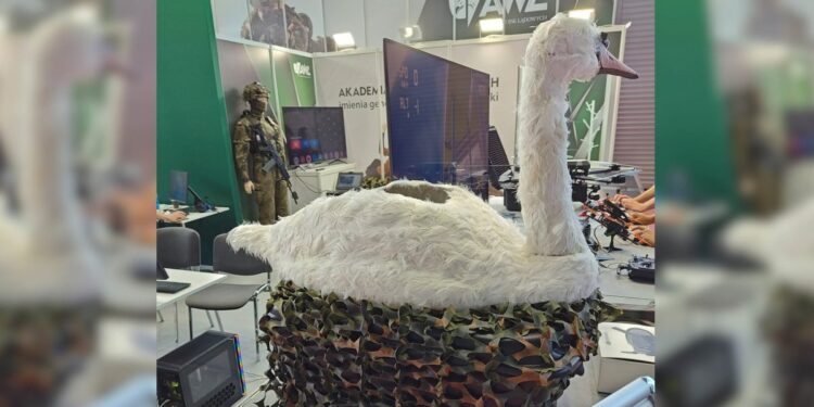 Поляки зробили дрон-качку. Насправді це лебідь, і незрозуміло для чого (ФОТО, ВІДЕО)