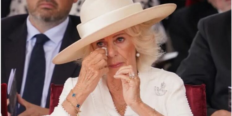 Принц і “зла мачуха”. Чому у Гаррі теплішають стосунки з королем Чарльзом, але не з Каміллою