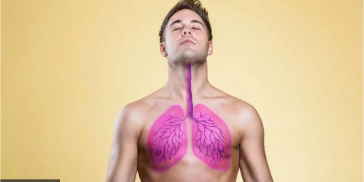 Легені – це не тільки про дихання, а й про обмін речовин і навіть пам’ять. Перевірте свої за 5 хвилин