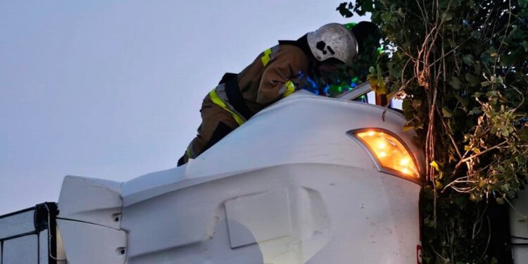 Під Миколаєвом перекинувся DAF з напівпричепом – водій помер в “швидкій”