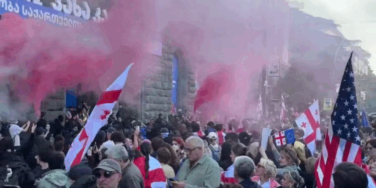 В Грузії після виборів протестувальники штурмують президентський палац (ВІДЕО)
