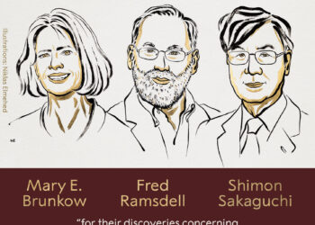 Нобелівську премію з медицини 2025 року дали за відкриття щодо регуляції імунної системи людини