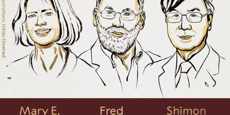 Нобелівську премію з медицини 2025 року дали за відкриття щодо регуляції імунної системи людини