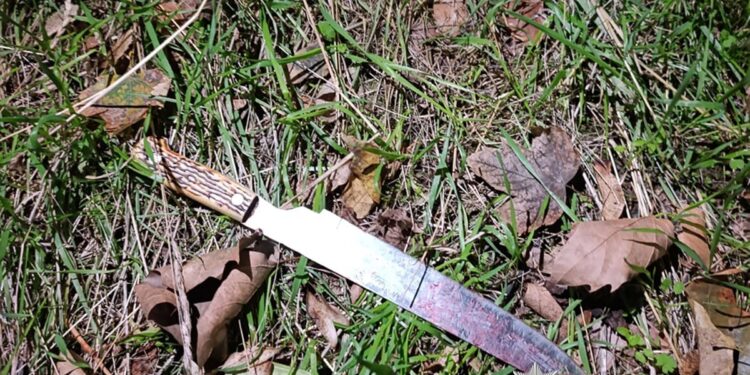 У Миколаєві чоловік вбив брата – встромив йому ножа у груди