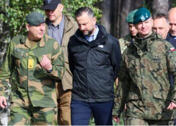 Слідами Гегсета. У Польщі теж вирішили порахувати товстих генералів