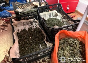 59-річний мешканець Вознесенська планував заробляти на продажу канабісу – поліцейські Миколаївщини «закрили бізнес» (ФОТО)