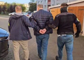 Затримано поляка, який підозрюється у поширенні дитячої порнографії: серед потерпілих – українські діти (ФОТО)