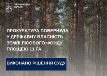 На Миколаївщині прокуратура повернула у державну власність землі лісового фонду площею 11 га