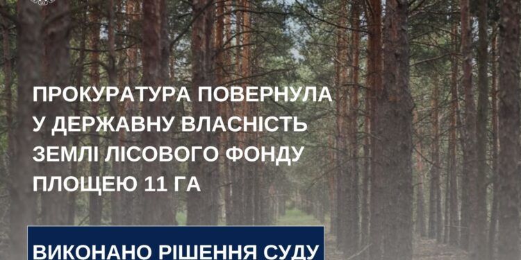 На Миколаївщині прокуратура повернула у державну власність землі лісового фонду площею 11 га