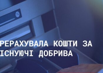 Фермерка з Миколаївщини через шахрая втратила майже 400 тис.грн.