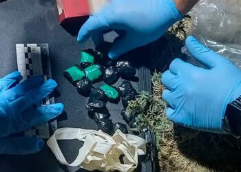 У Миколаєві поліцейські затримали двох молодиків, які розкладали по місту «закладки» з психотропами та канабісом (ФОТО)