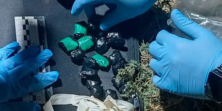 У Миколаєві поліцейські затримали двох молодиків, які розкладали по місту «закладки» з психотропами та канабісом (ФОТО)