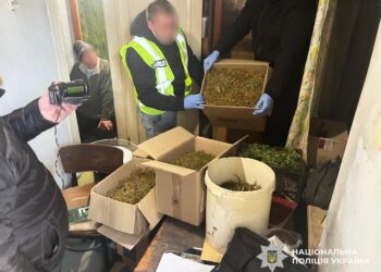 У 67-річного мешканця Миколаївського району вилучили майже 15 кг канабіса – наркозілля він вирощував на дачі (ФОТО)