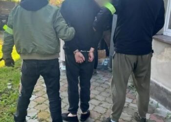 У Польщі затримали палія автівок з українськими номерами (ВІДЕО)