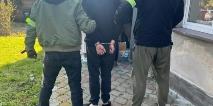 У Польщі затримали палія автівок з українськими номерами (ВІДЕО)