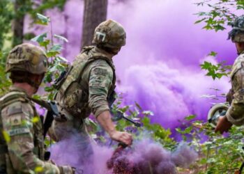 Армія США закупила 30 тонн цукрової пудри – для військових цілей. Що з неї робитимуть (ФОТО)