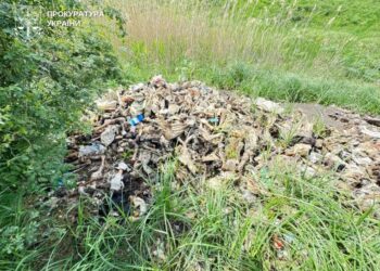 За забруднення землі відходами тваринного походження підприємниці з Миколаївщини повідомлено про підозру (ФОТО)