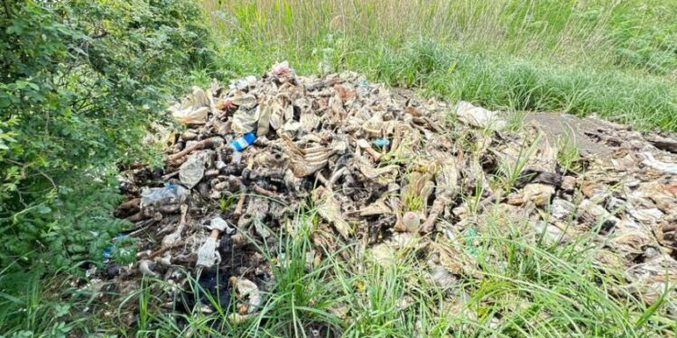 За забруднення землі відходами тваринного походження підприємниці з Миколаївщини повідомлено про підозру (ФОТО)