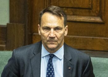 Сікорський допустив, що літак з путіним на борту може бути затриманим у Польщі