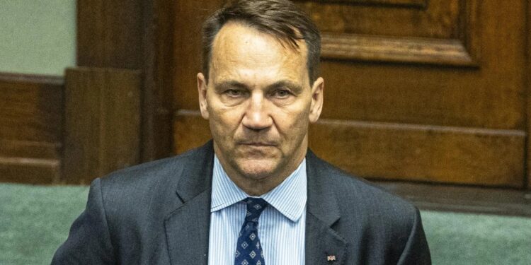 Сікорський допустив, що літак з путіним на борту може бути затриманим у Польщі