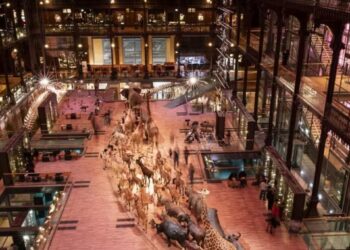 Ще одне пограбування в Парижі: громадянка Китаю викрала з музею золота на 1,5 млн євро