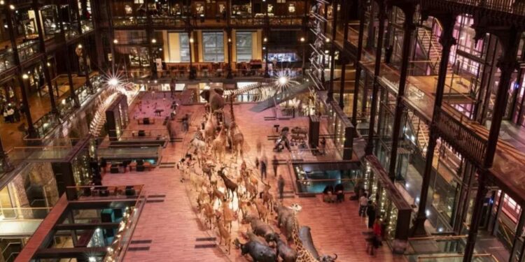 Ще одне пограбування в Парижі: громадянка Китаю викрала з музею золота на 1,5 млн євро