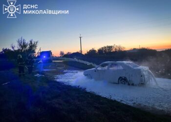 На Миколаївщині горіли будинок, авто та очерет (ФОТО)