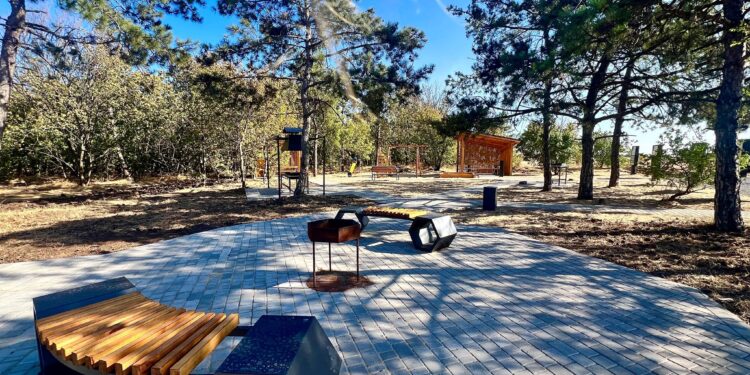 До кінця року на Миколаївщині з’являться три «Лісовички»