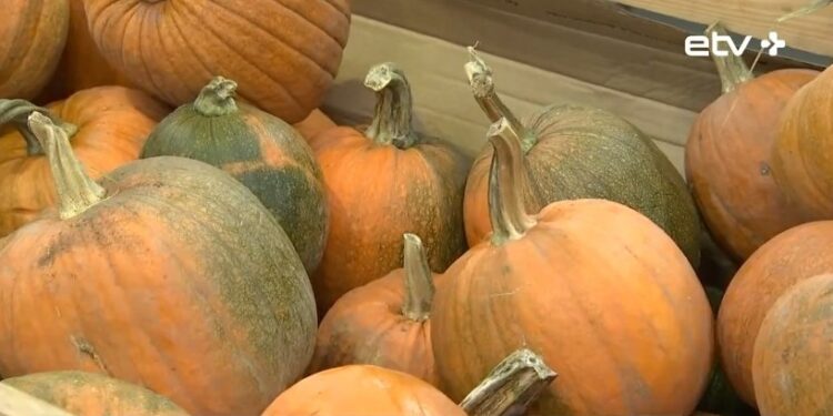 В Естонії помітили користь від Хеллоуїна – позитивно впливає на продаж гарбузів