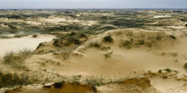 Південь України на межі опустелювання – Держекоінспекція