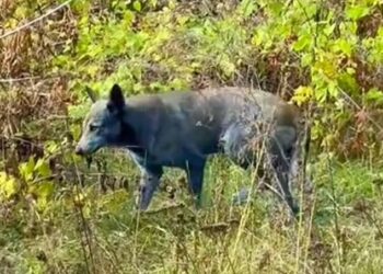 В Одесі внаслідок негоди 9 загиблих