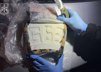 Перекрили канал постачання кокаїну в Україну – конфіскували 3 кг (ФОТО)