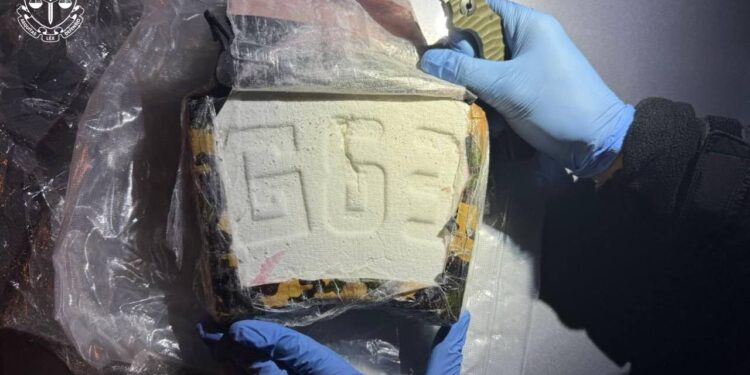 Перекрили канал постачання кокаїну в Україну – конфіскували 3 кг (ФОТО)