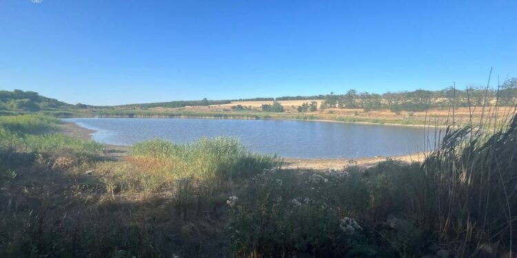 На Миколаївщині судитимуть мешканця, який захопив ставок і сказав – “він мій” (ФОТО)