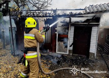 На Миколаївщині пожежні гасили дрова та авто (ФОТО)