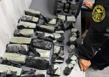 Українка намагалася вивезти за кордон майже мільйон доларів – під капотом авто (ФОТО, ВІДЕО)