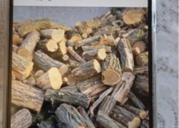 У Миколаєві шахрай продаючи неіснуючі дрова, обдурив понад 30 людей (ФОТО)