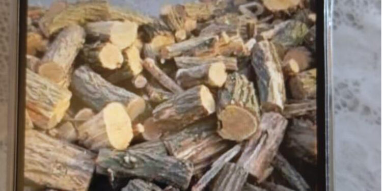 У Миколаєві шахрай продаючи неіснуючі дрова, обдурив понад 30 людей (ФОТО)