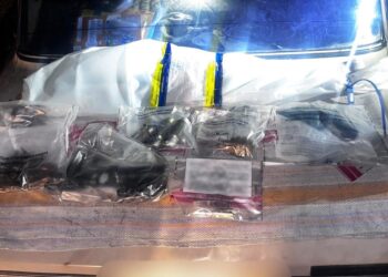 У Баштанці поліція вилучила у 45-річного чоловіка цілий арсенал зброї (ФОТО)