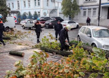 У Миколаєві ліквідовують наслідки негоди – вже 9 дерев, які впали, прибрані, роботи продовжаться сьогодні (ФОТО)