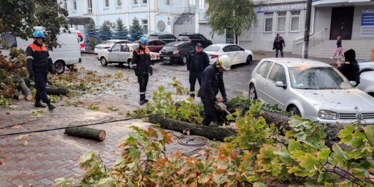 У Миколаєві ліквідовують наслідки негоди – вже 9 дерев, які впали, прибрані, роботи продовжаться сьогодні (ФОТО)