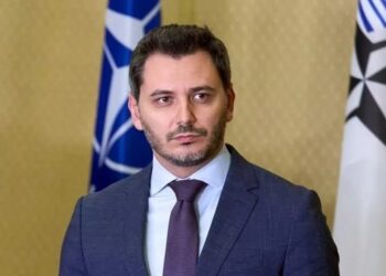 Парламентська асамблея НАТО закликала дати Україні все, що треба для звільнення окупованих територій, і зняти всі обмеження