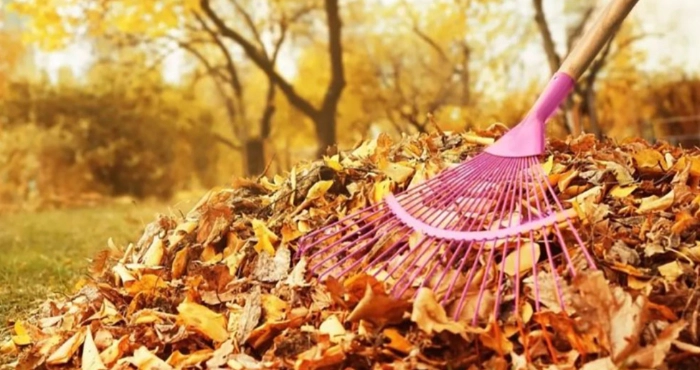 Як перетворити опале листя в безцінне добриво – поради садівникам