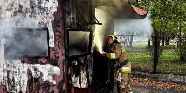 На Миколаївщині під час пожежі загинув чоловік
