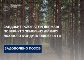 На Миколаївщині суд зобов’язав повернути державі земельну ділянку лісового фонду площею 6,9 га