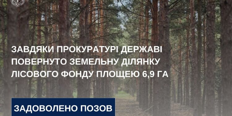 На Миколаївщині суд зобов’язав повернути державі земельну ділянку лісового фонду площею 6,9 га