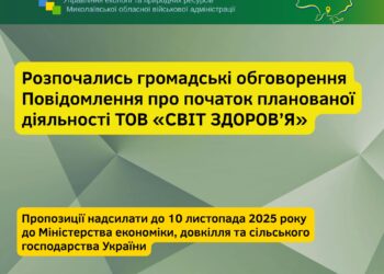Загроза знесення 182 дубів у Миколаєві задля будівництва АЗС не минула – тепер треба писати до Мінекономіки, і швидко