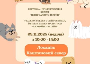 Цієї неділі в Каштановому сквері Миколаєва – чергова виставка-прилаштування безпритульних тварин. Може, саме там є і «ваш» пес?