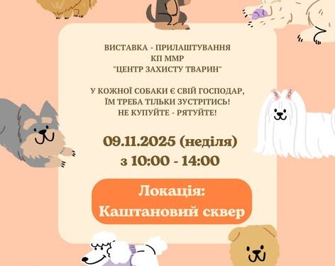 Цієї неділі в Каштановому сквері Миколаєва – чергова виставка-прилаштування безпритульних тварин. Може, саме там є і «ваш» пес?