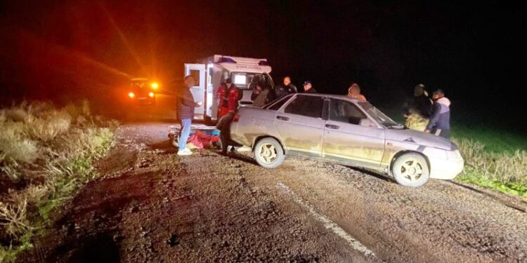 На Миколаївщині затримали водія ВАЗу, який у стані сп’яніння збив пішохода